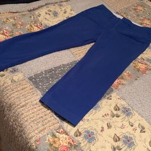 A.N.A. - A New Approach royal blue ankle length pants
